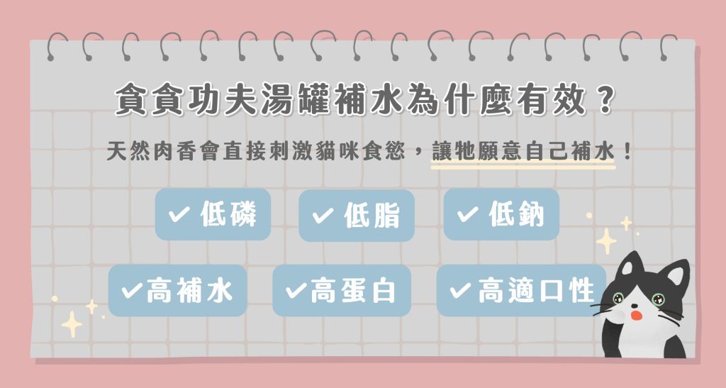 貓咪不愛喝水