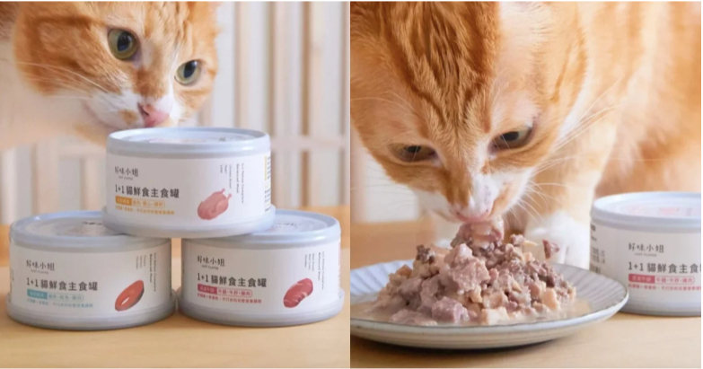 貓咪主食罐推薦