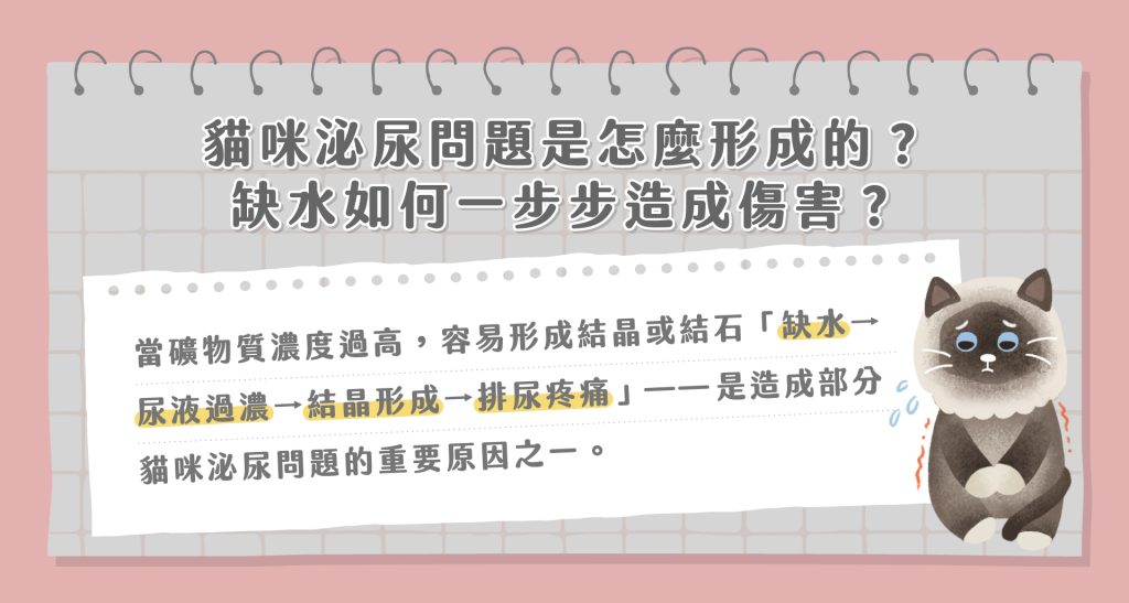 副食罐可以天天吃嗎?