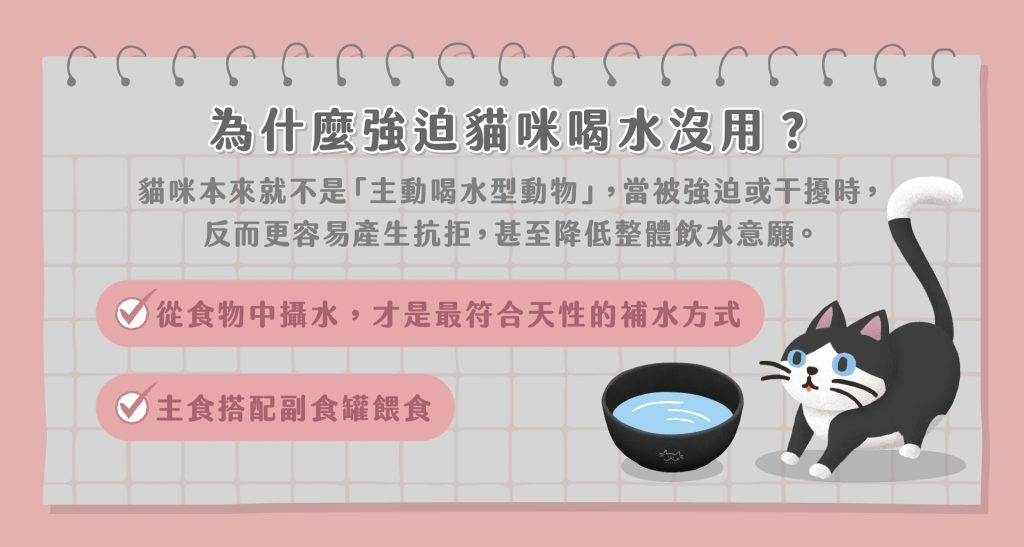 副食罐可以天天吃嗎?
