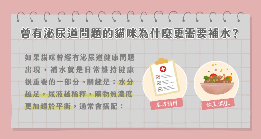 副食罐可以天天吃嗎?