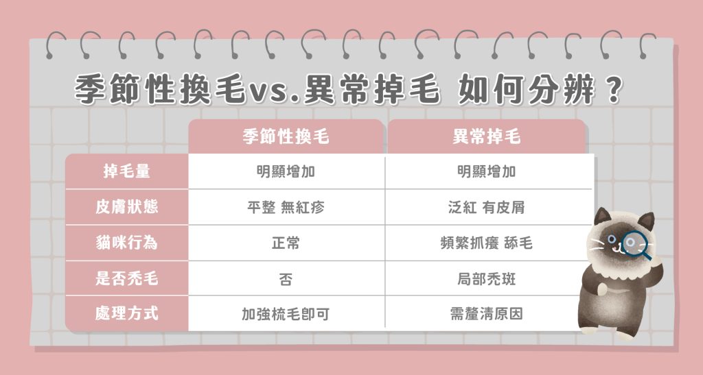 貓掉毛