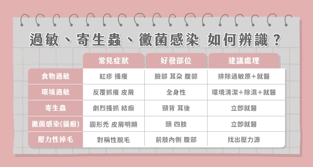 貓掉毛