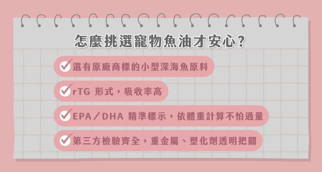 貓掉毛