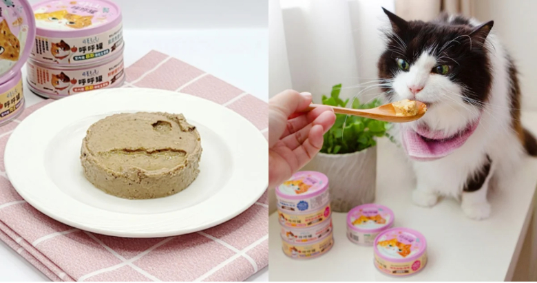貓咪主食罐推薦