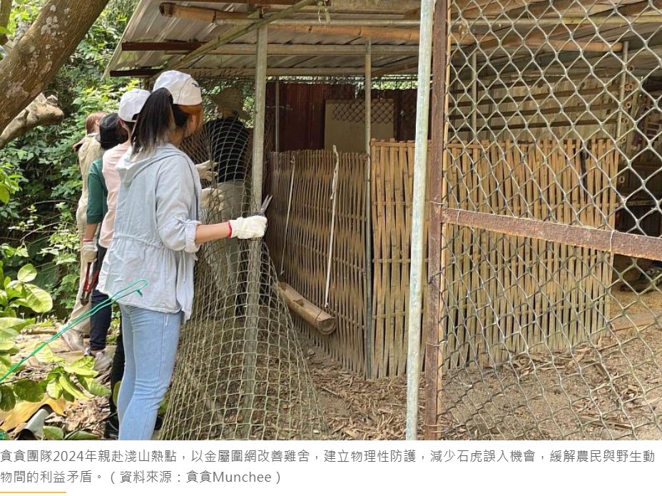 石虎保育