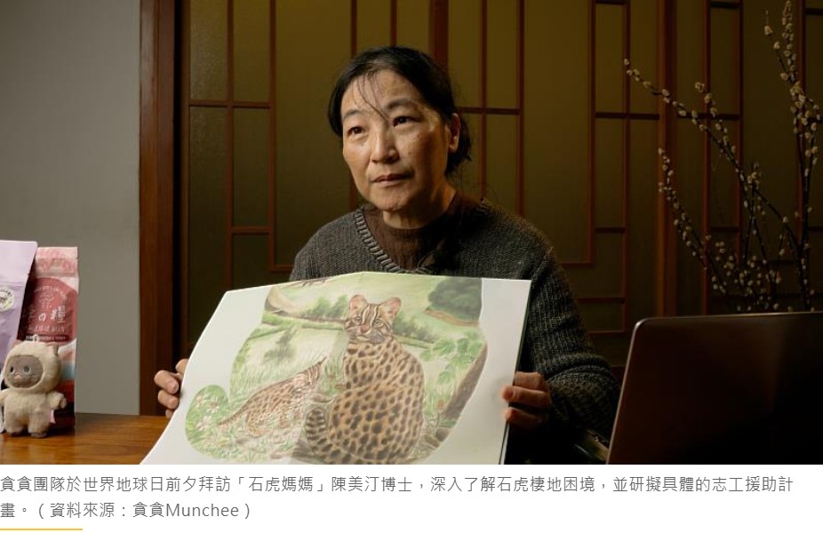 石虎保育