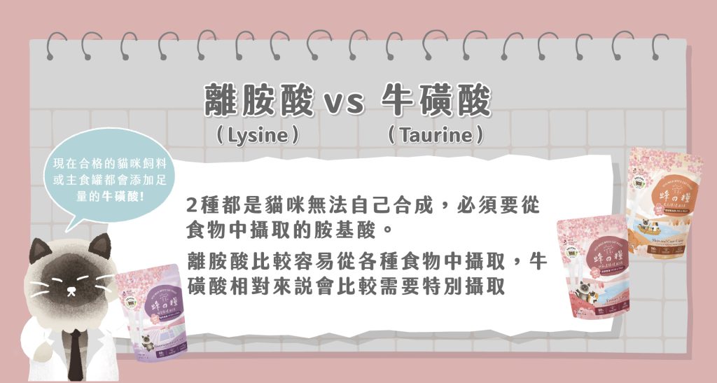 獸醫專欄-貓咪保健品大哉問