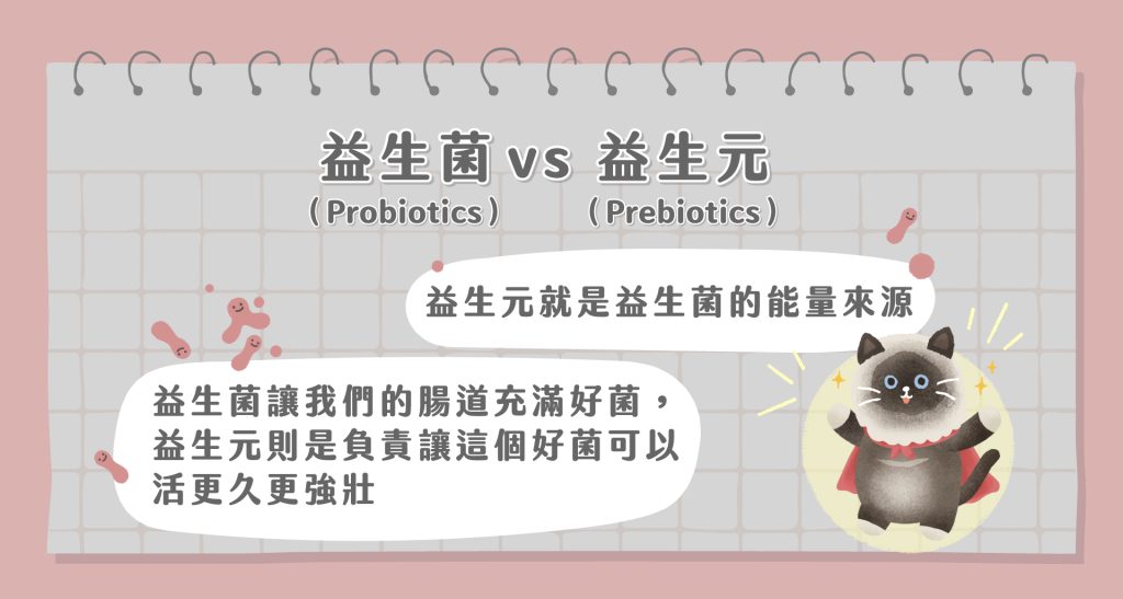 獸醫專欄-貓咪保健品大哉問益生菌