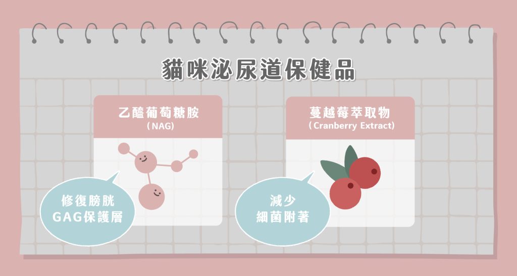 獸醫專欄-貓咪保健品大哉問泌尿保健