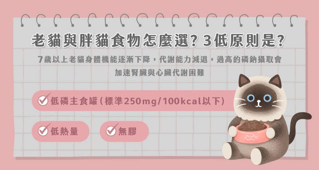 副食罐評比