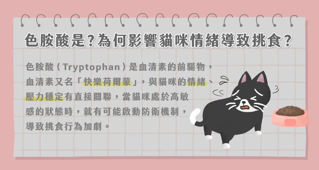 副食罐評比