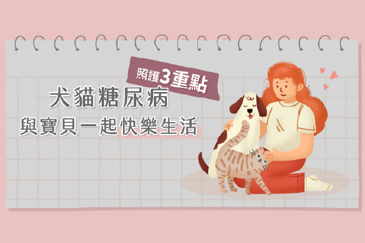 犬貓糖尿病