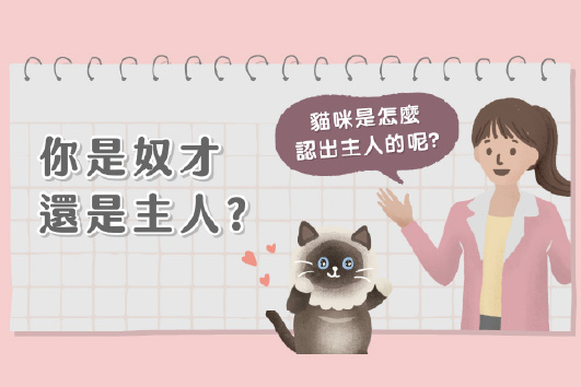 你是奴才還是主人