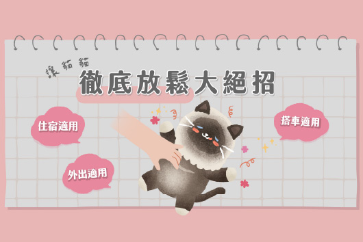 解決貓貓100種緊張情緒