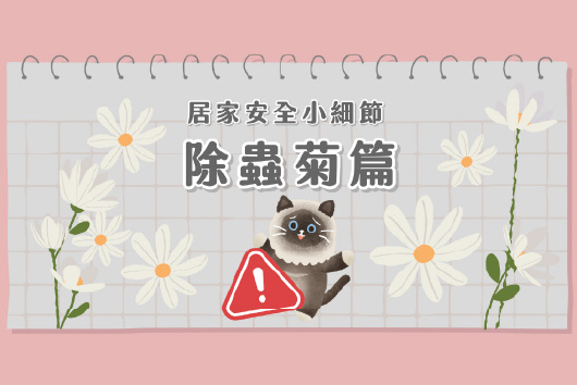 除蟲菊