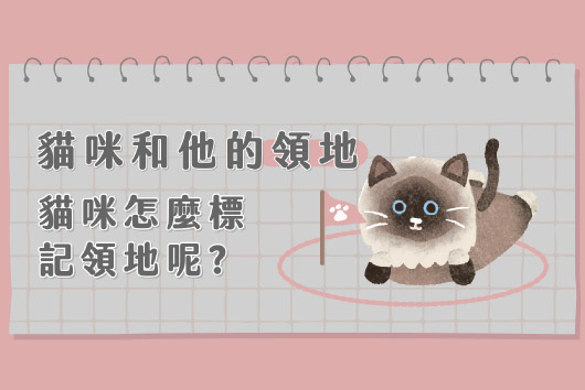 標記行為