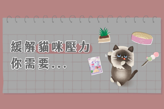 緩解貓咪焦慮