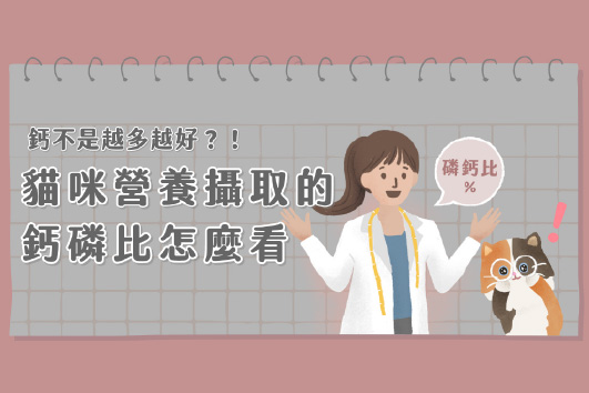 貝殼鈣