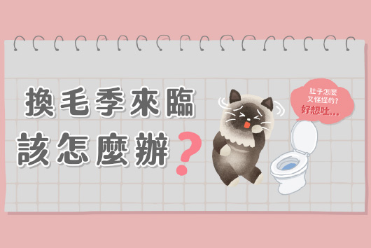 換毛保養