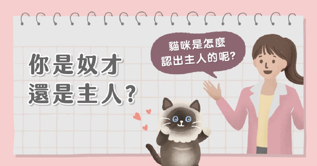 是奴才還是主人?怎麼判斷貓咪認得你呢? - Munchee貪貪