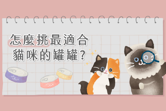 貓咪罐罐