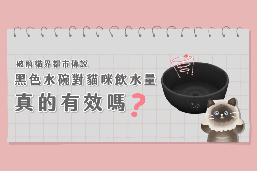 黑色水碗傳說
