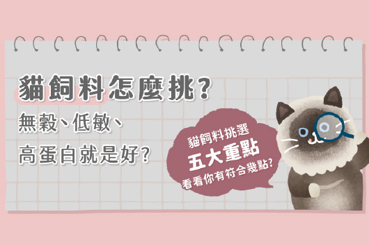 貓飼料怎麼挑