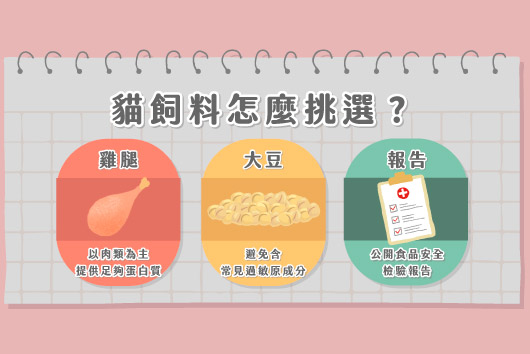 貓飼料怎麼挑選
