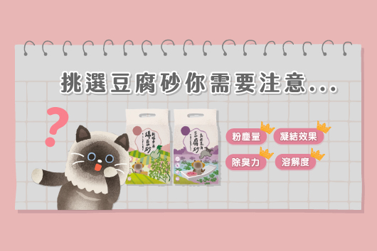 豆腐砂推薦