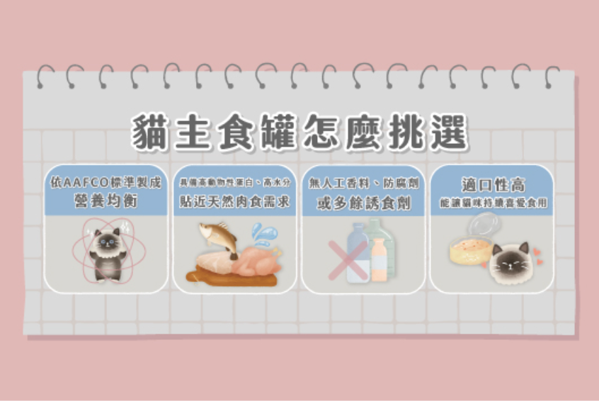主食罐推薦