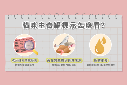貓咪主食罐有哪些成分需要注意？