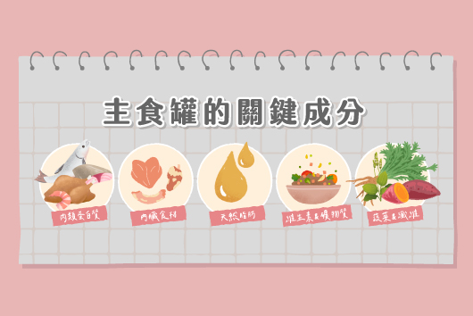 貓咪主食罐怎麼選