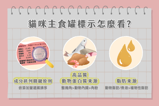貓咪主食罐有哪些成分需要注意？