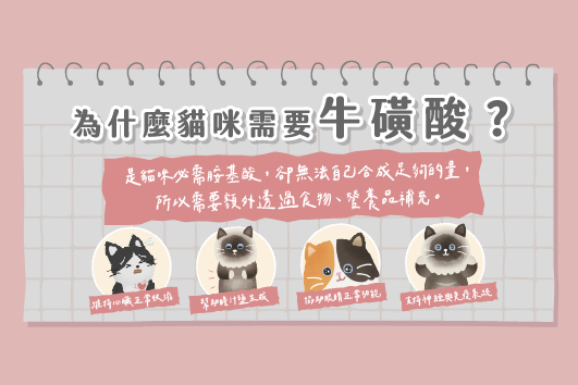 貓咪牛磺酸