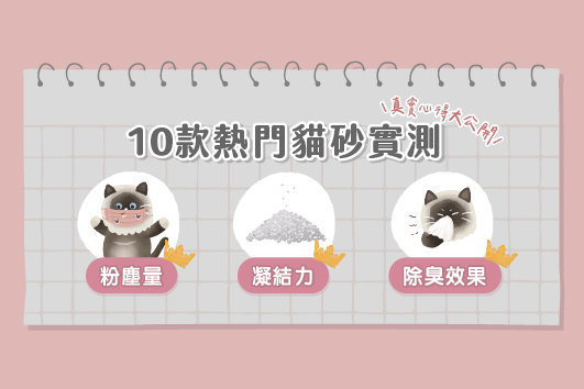 貓砂推薦實測10款