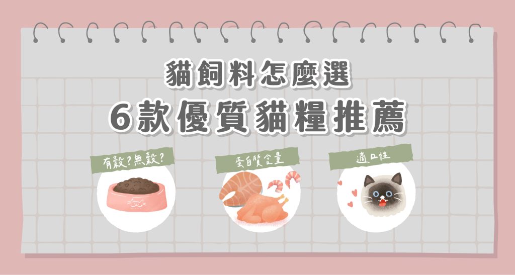 貓飼料推薦