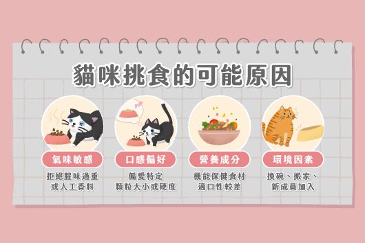 貓咪挑食可能原因示意圖：包含氣味敏感、口感偏好、營養成分差異與環境因素四大面向，並以可愛插畫呈現貓咪拒食、挑選飼料與受環境影響的行為。