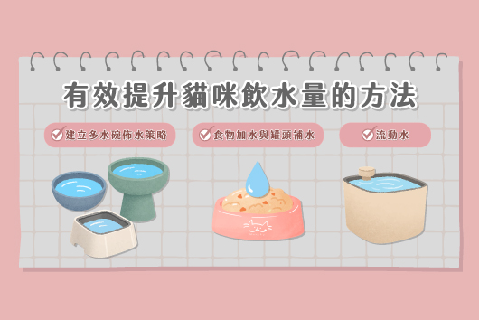 「有效提升貓咪飲水量的方法」插圖，展示三種增加貓咪喝水的方式：建立多水碗佈水策略、在食物中加水或餵濕食補水、以及使用流動水飲水機，幫助飼主維持貓咪健康飲水量。