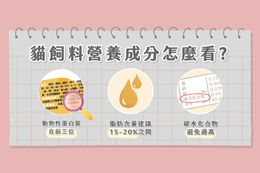 貓飼料營養成分判讀示意圖：強調動物性蛋白質需排在成分表前三位、脂肪含量建議 15–20%，以及碳水化合物應避免過高，並搭配放大鏡、油滴與營養標示插畫。