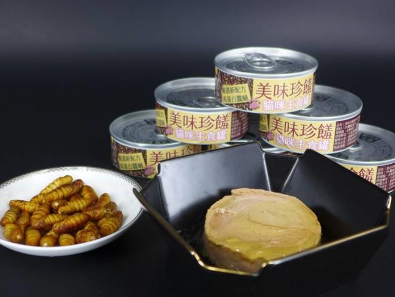 蠶蛹變貓罐罐？苗改場研發能抑制動物腸道壞菌的「蠶蛹配方」貓罐頭！