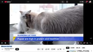 Silkworm Cat Food