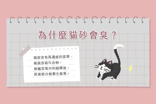 貓砂除臭(烏金)