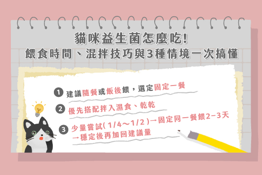 貓咪益生菌