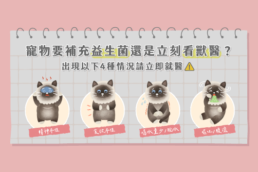 寵物可以吃人的益生菌嗎