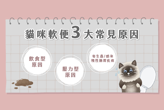 貓咪軟便