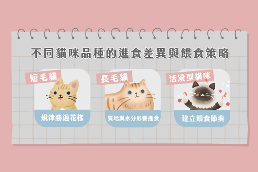 貓咪品種