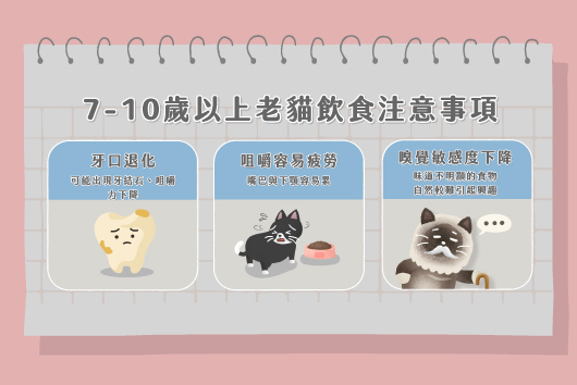 老貓只吃肉泥