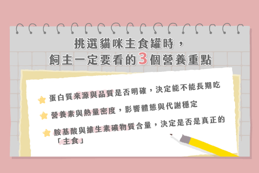 貓咪主食罐有哪些好處？