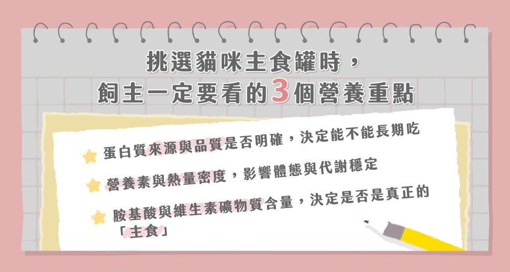貓咪主食罐有哪些好處？